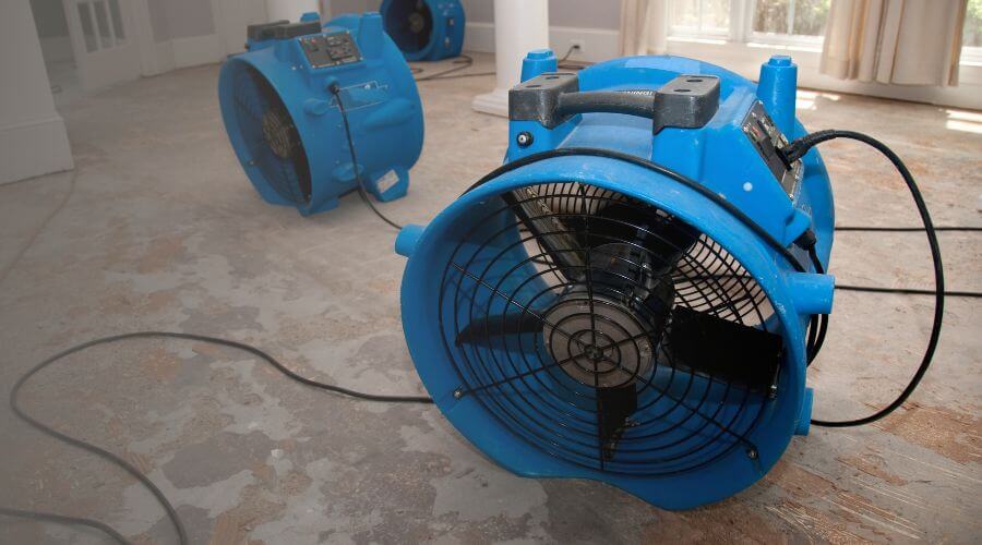 Why choose Habitat Surge for water damage restoration in Brownsville